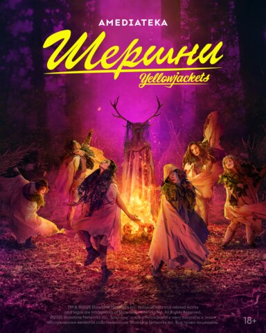 Шершни - постер